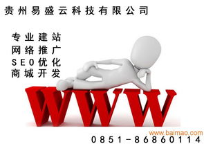 主流的網站建設信息與可信服務指南