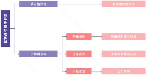 全球創(chuàng)新藥定價(jià)模式解析 信息咨詢(xún)服務(wù)概覽