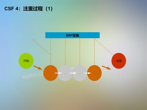 信息系統項目咨詢方法論 提升信息咨詢服務效能的關鍵